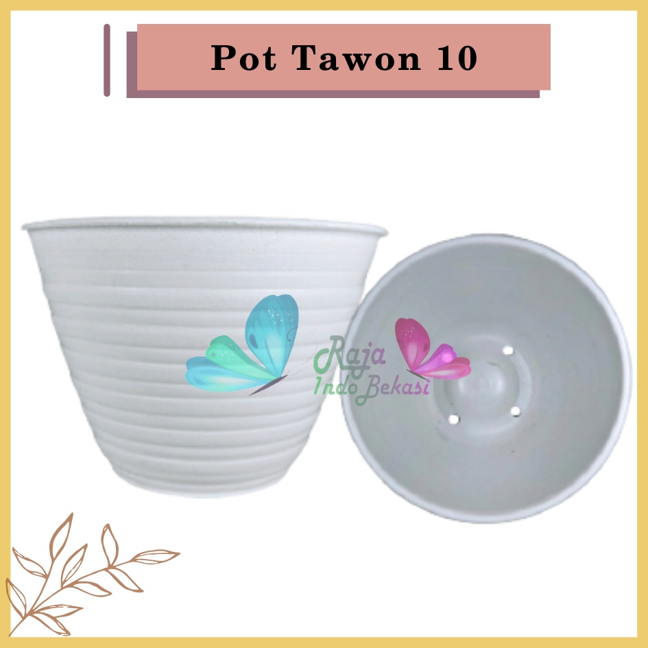 Pot Tawon 10 Cm Putih / Pot Madu 10 / Mdn 10 / Dahlia Plastik 10CM Vas Bunga Tanaman Kaktus