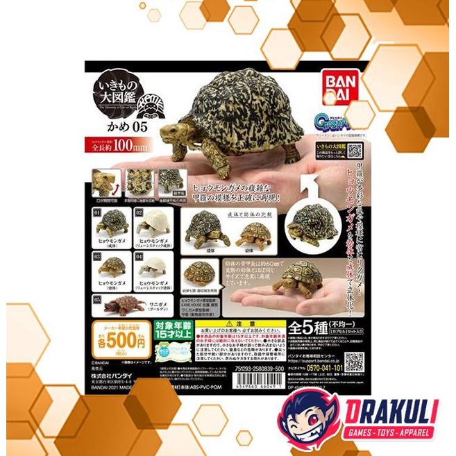 Grosir Gacha Turtle Gashapon 05 Vol. 5