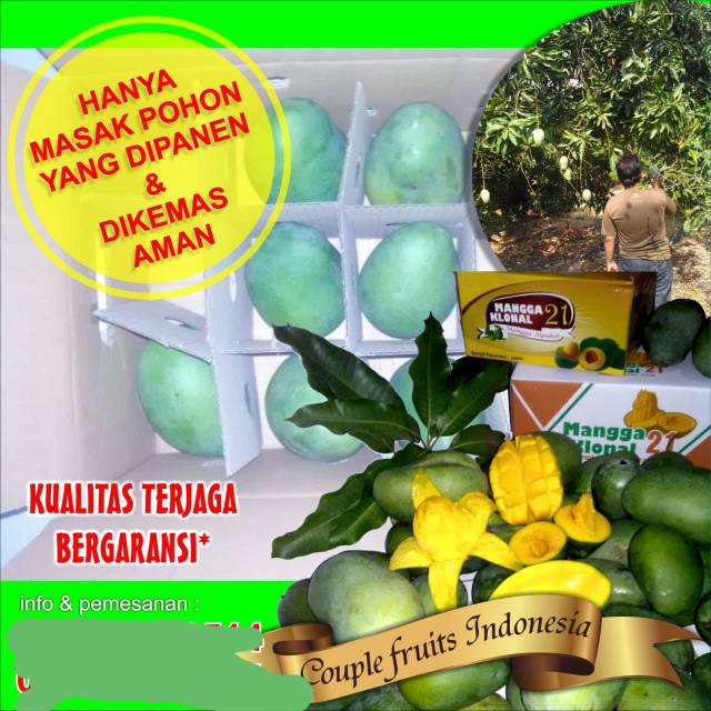 

Mangga Klonal 21 Pasuruan Grade Super kardus 5 kg