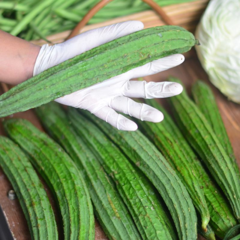 

oyong Segar 500 Gram