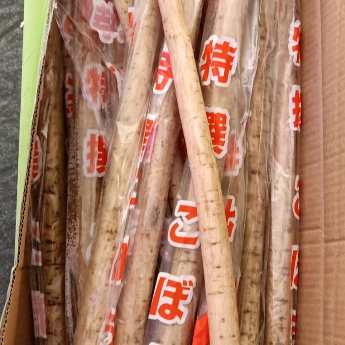 

NEW Burdock Root Gobo 1kg