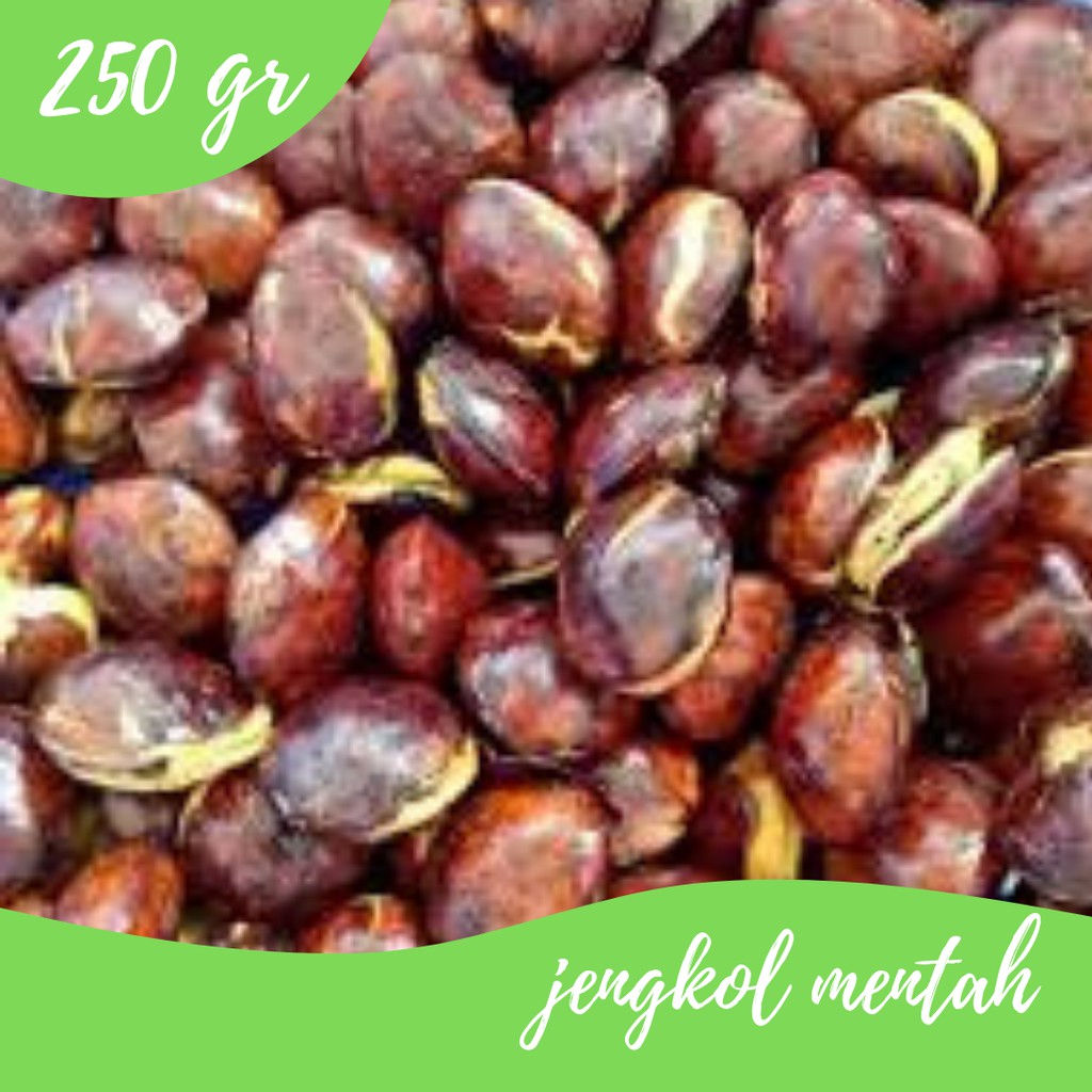 

Jengkol 250g Gudang Sayur Purwokerto
