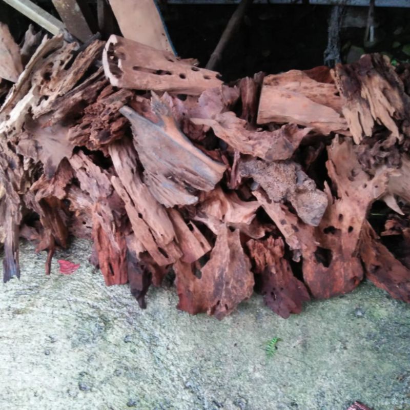 Rentek Kayu Aquascape dan Paludarium size s