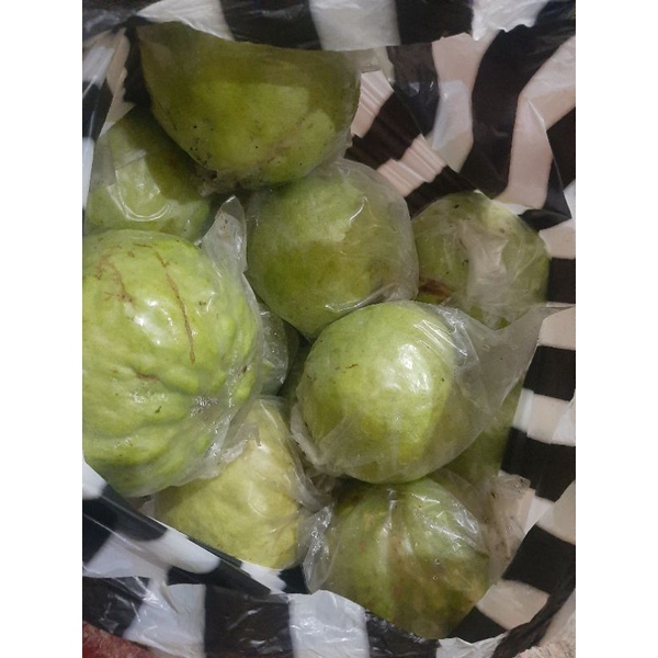 

Jambu Kristal