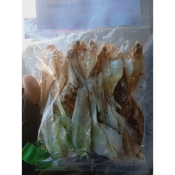 

IKAN BILIS TAWAR(IKAN GESEK) KHAS INDRAMAYU