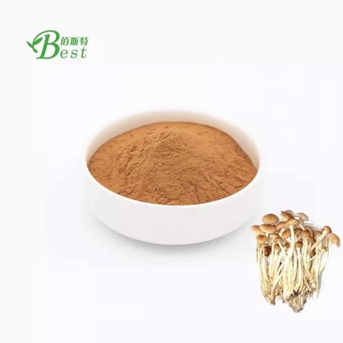 

TEA TREE MUSHROOM EXTRACT POWDER JAMUR CINA BUBUK 50GR