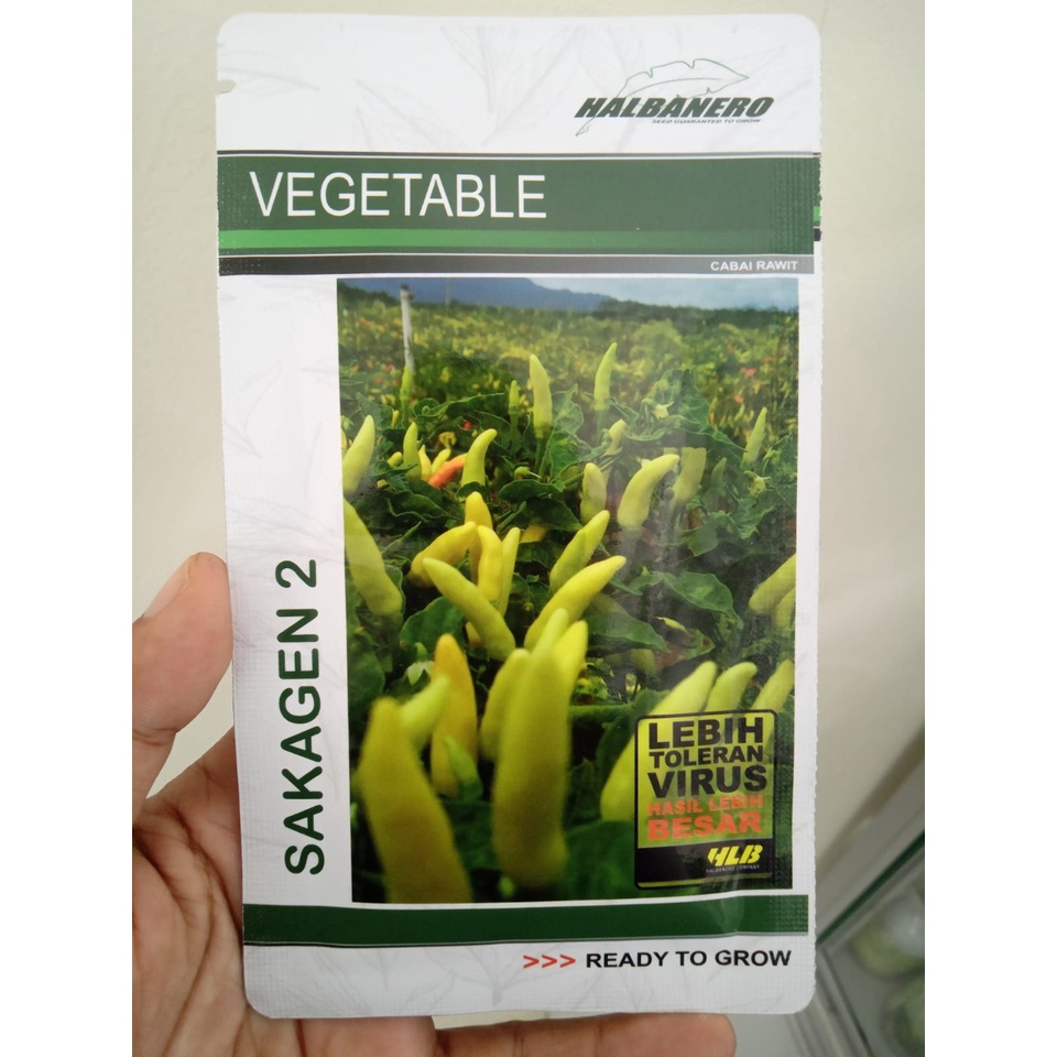 Benih Bibit Cabe Cabai Rawit SAKAGEN 2 Tahan Virus - 1750 Biji