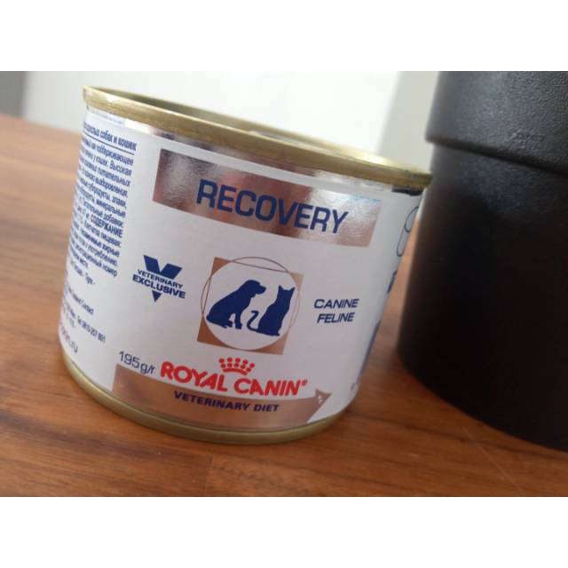 Royal Canin Recovery