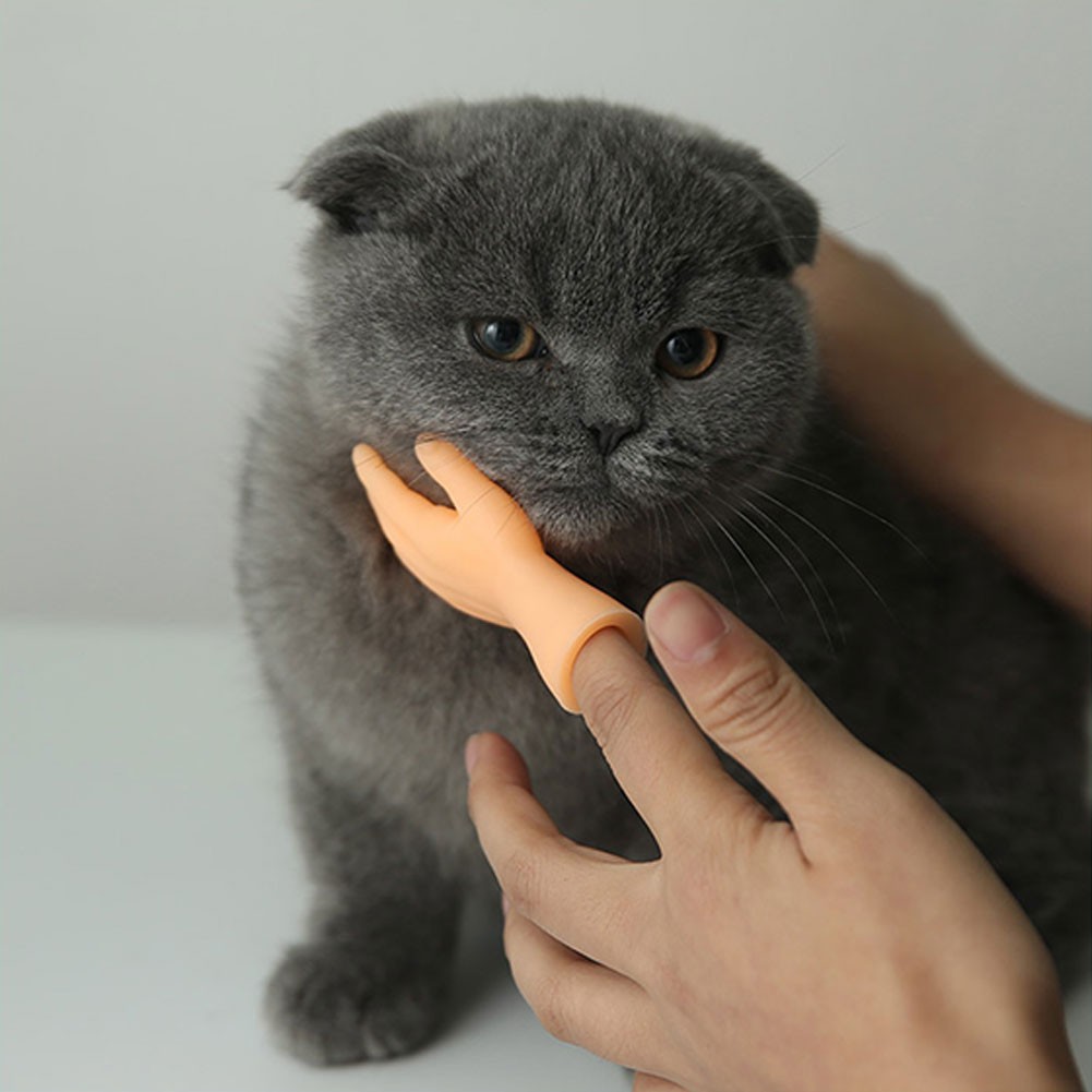 Mainan Interaktif Sarung Tangan Jari Kecil Bahan Silikon Untuk Kucing Anjing Peliharaan