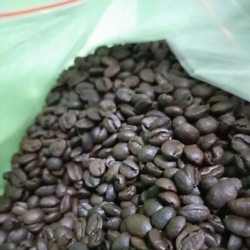 Biji Sangrai Kopi Arabika Temanggung Medium to Dark Roasted bean 100gram dan 200gram