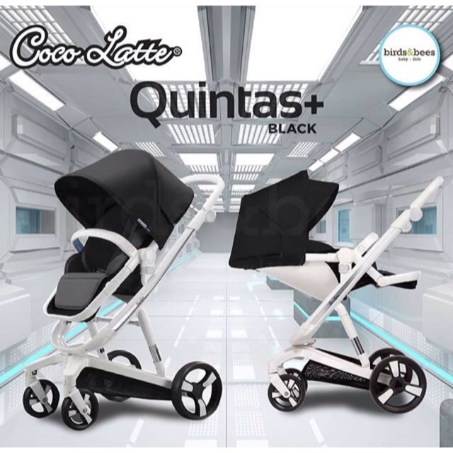 stroller quintas plus