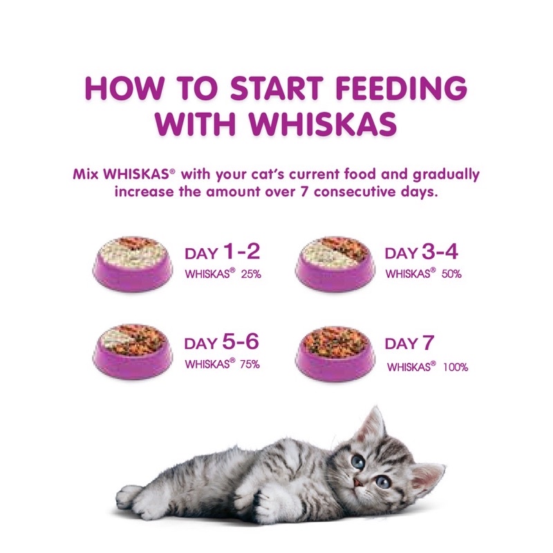 WHISKAS MAKANAN KUCING KITTEN ANAKAN MACKEREL OCEAN FISH WITH MILK DRAY FOOD KUCING