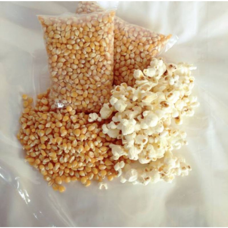 

Jagung Popcorn