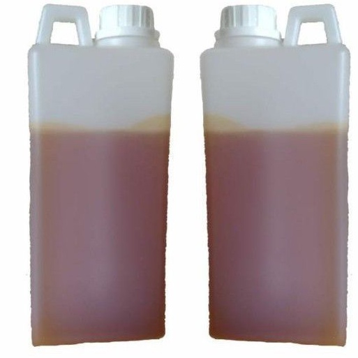 Madu Murni Nektar 1kg Honeykyu Immune Boosting