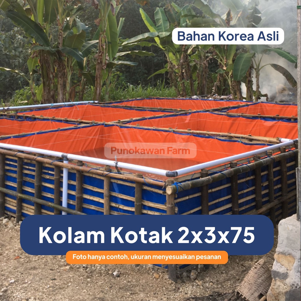 Kolam Terpal Kotak 200x300x75 / 3x2x75 bahan korea