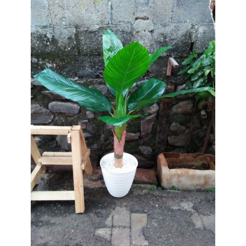 Tanaman pohon pisang besar 90 cm + pot/ artificial tree/ fake tree
