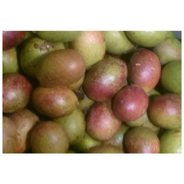 Buah matoa 1kg