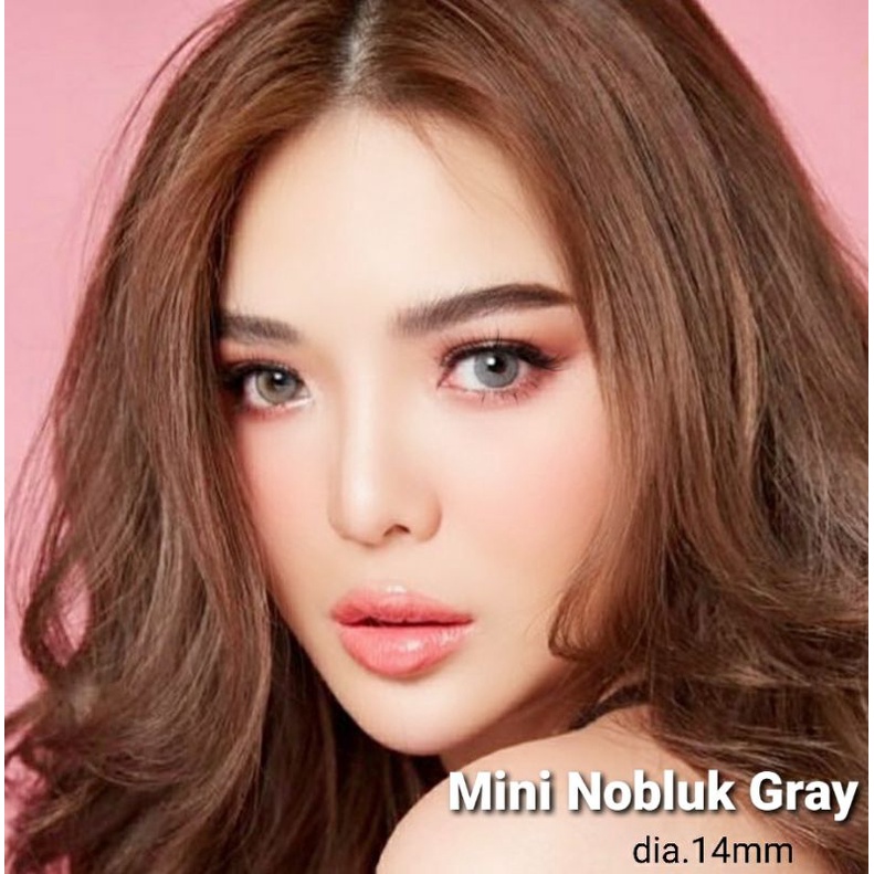 Softlens Dreamcolor Mini Nobluk Gray Abu dia.14mm Normal Minus s.d -8.00