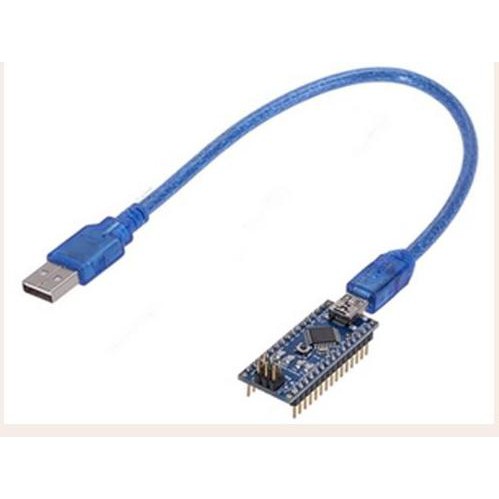 Jual Mini Usb Cable Data For Arduino Nano 30Cm Iseeu773 Ayo Beli ...