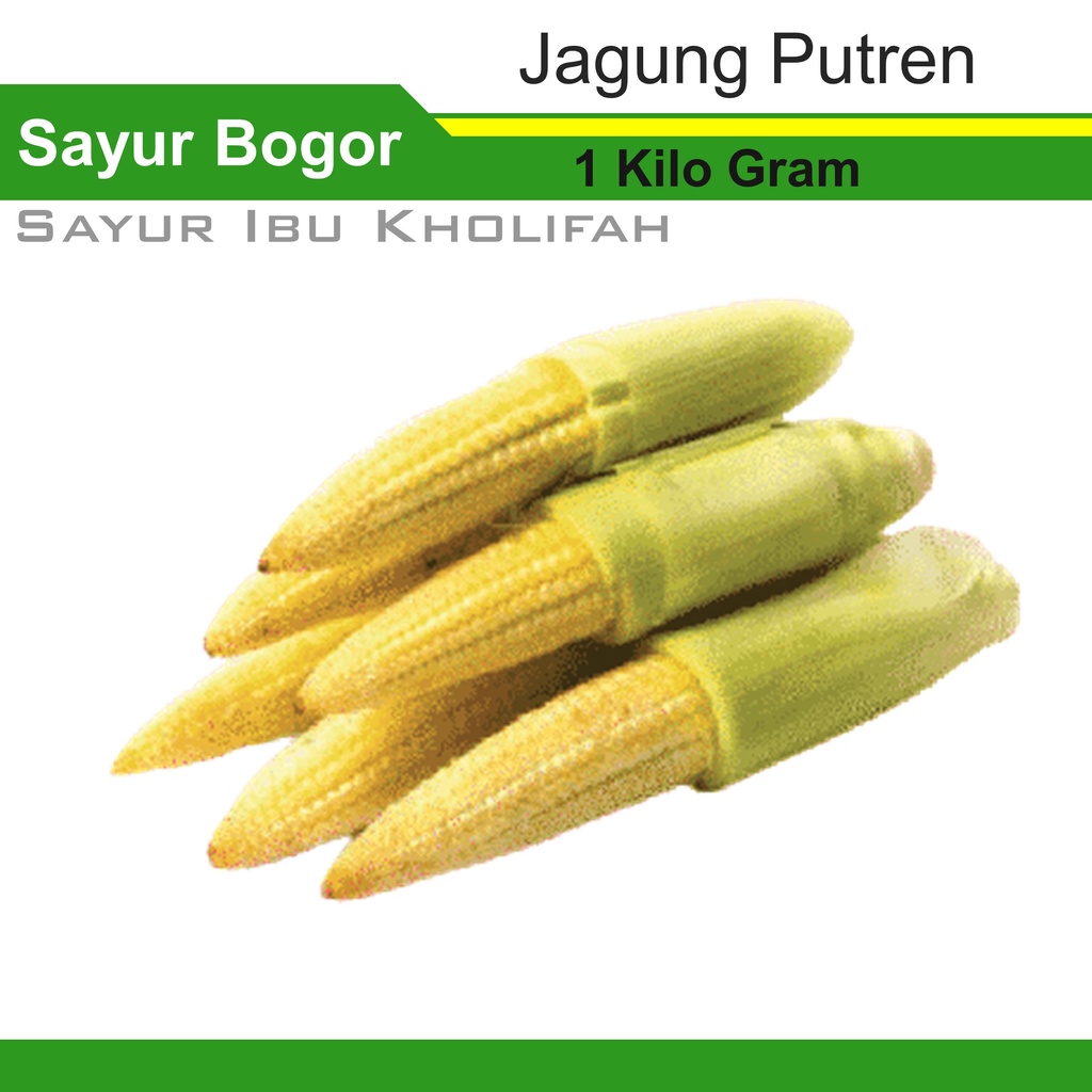 

Jagung Acar Putren 1Kg Makanan Sayur Sayuran Segar Online Bogor Freshmart