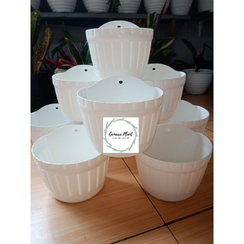 Jual Pot Dinding Pot Gentong Tb Pot Tembok Tanaman Hias Dinding