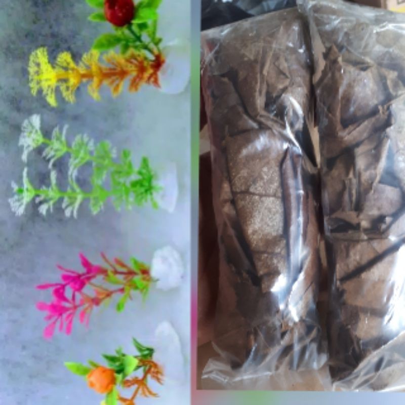 Tanaman aquarium plastik & Daun ketapang ikan cupang tempat ikan cupang botol ikan