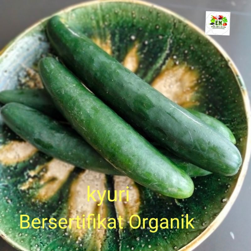 

Sayur Organik Kyuri Timun Jepang 100% Bersertifikat Organik VegetableMurah Sehat Healthy Life Grosir Supermarket