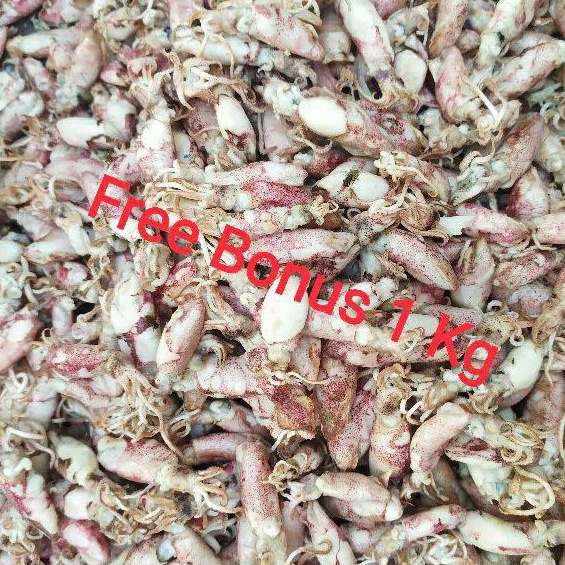 

Cumi Asin Baby Uk 250 Gr + Gratis Bonus