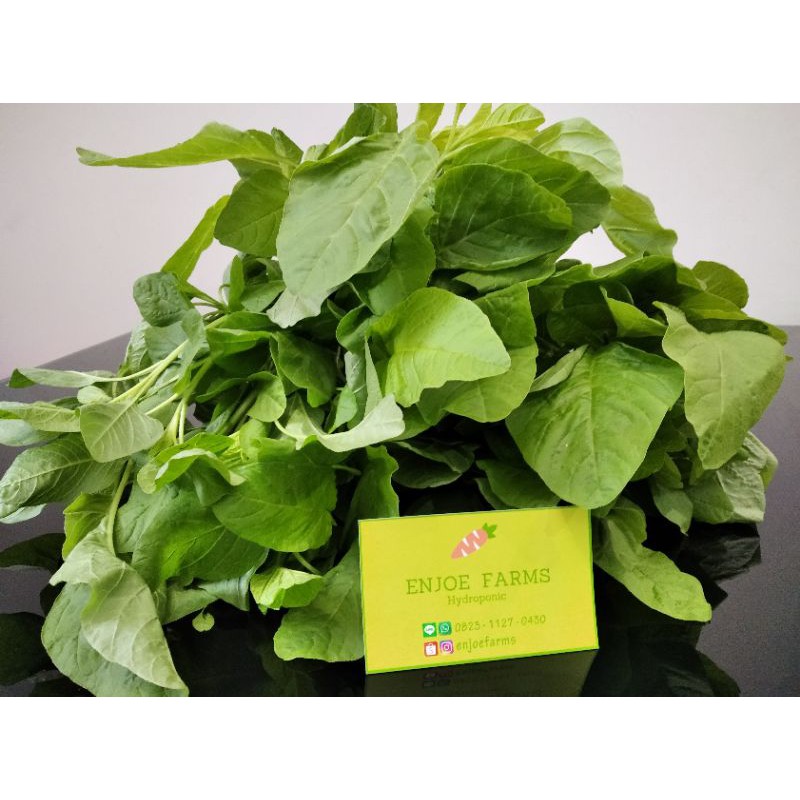 

Bayam Hidroponik / pack 200gr