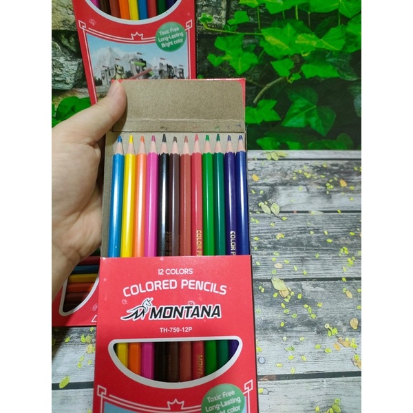 Pensil Warna Colour Plus/Pensil Warna Kecil &amp; Besar isi 12 warna