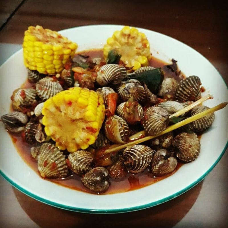 

kerang darah