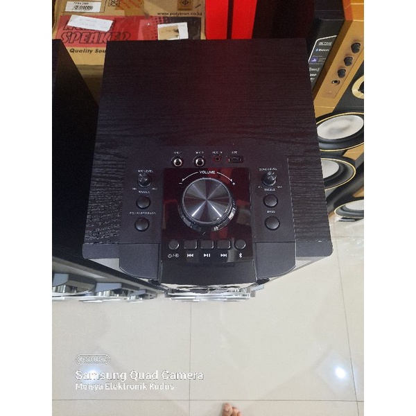 Spiker Aktif Polytron PAS 8E22
