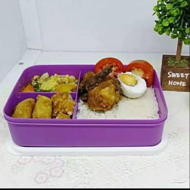 Tempat Nasi / Tempat Makan / Tempat Bekal / Misting / Tupperware
