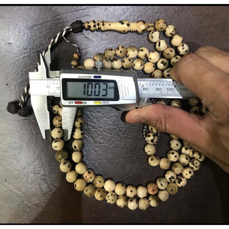 Tasbih Oud Sholib 10mm Tijani Asli Mesir