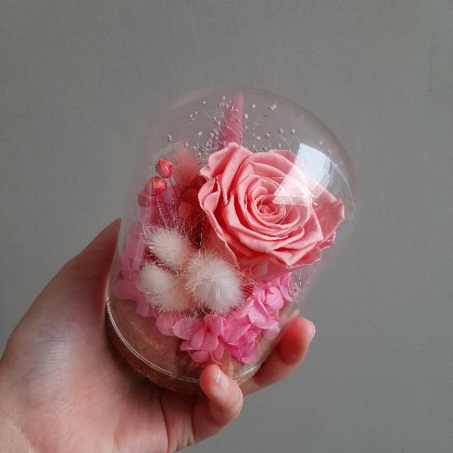 Preserved Rose in Glass Dome
