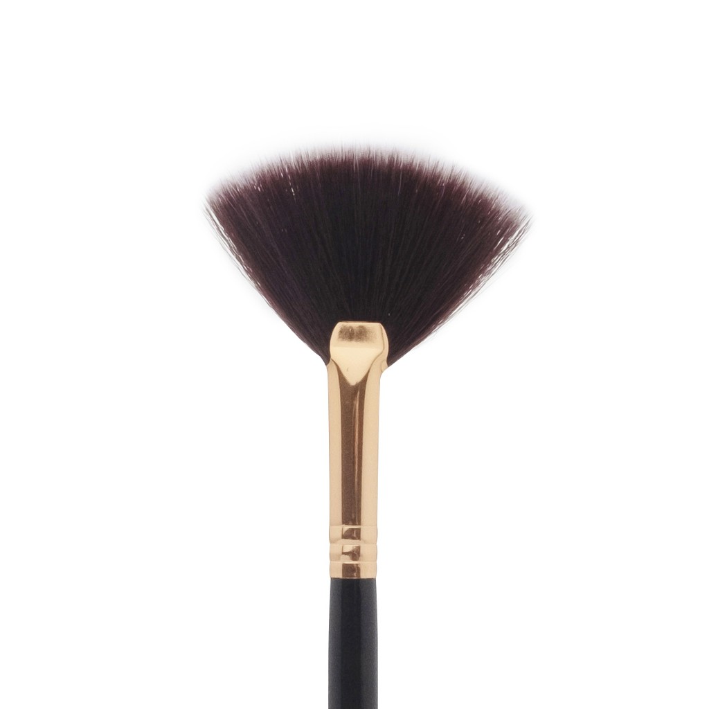 

I Am Addicted F205 Fan Brush