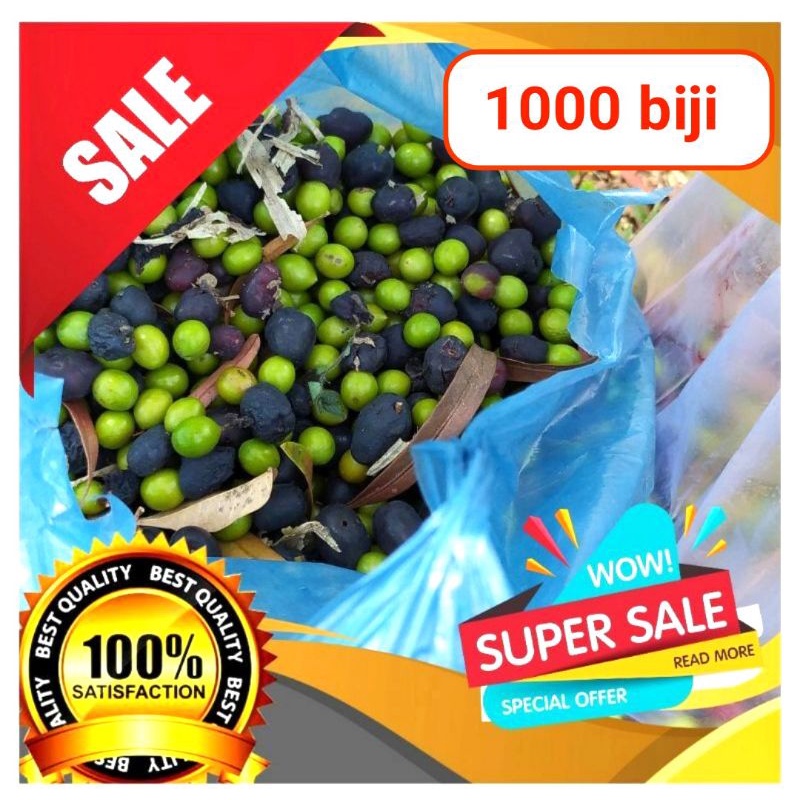 1000 biji lohansung pupus merah/red budhis pine dan mawar