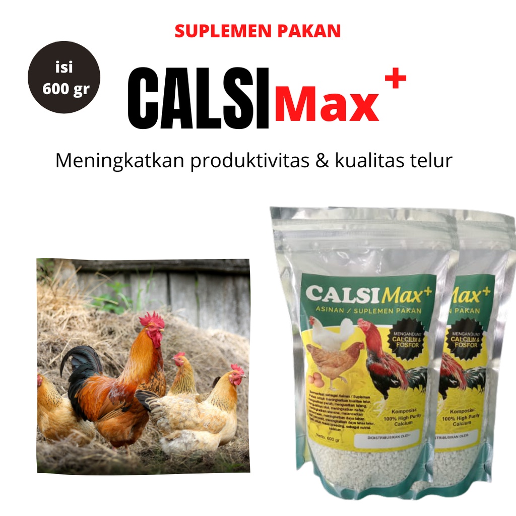 Suplemen Ayam broiler, nutrisi High Calsium & Fosfor, pakan ayam petelur thailand, VITAMIN AYAM PETE