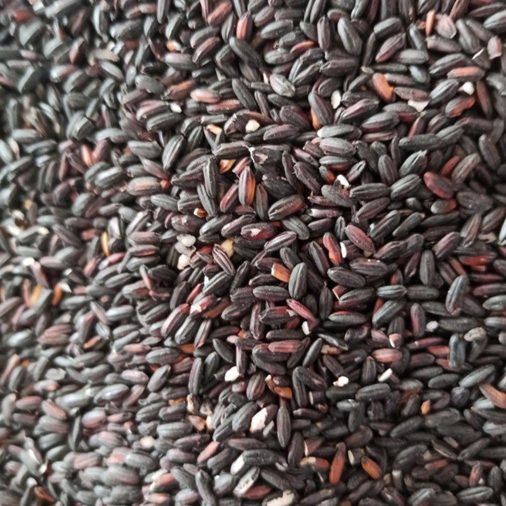

Beras Ketan PK 1 Kg
