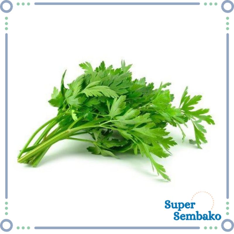 

SAYUR DAUN SOP / SUP / SELEDRI SEGAR FRESH PER IKAT 500g MURAH MAKASSAR