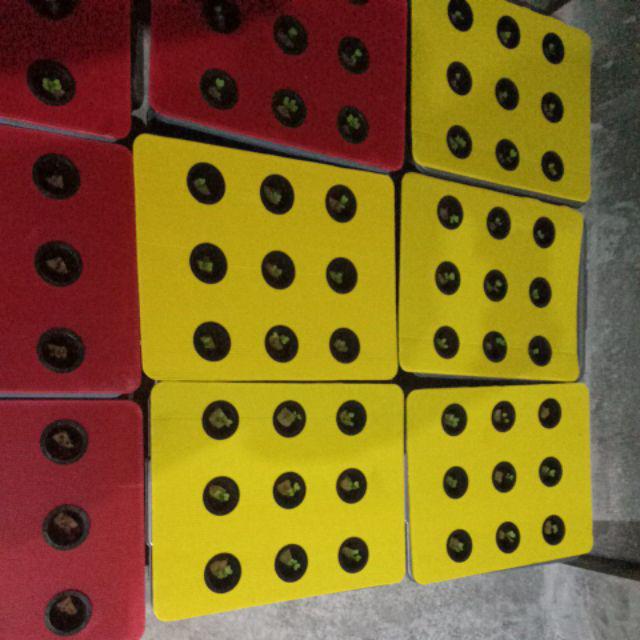 Impraboard Hidroponik Tutup Bak Ada 9 Lubang Untuk Netpot 5 Cm