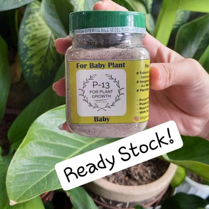 Pupuk P13 BABY / ANAKAN Om Justin