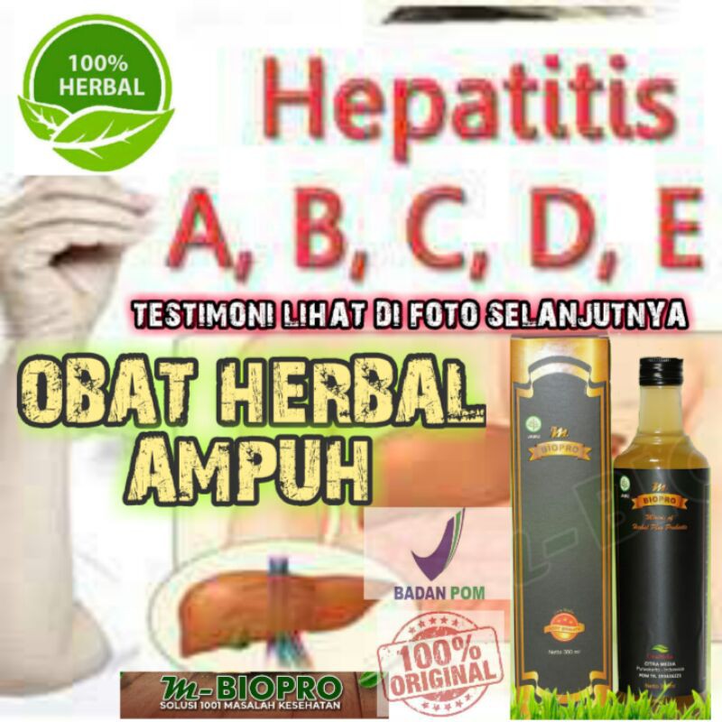 OBAT HEPATITIS B l OBAT HEPATITIS A l OBAT HEPATITIS B HERBAL M BIOPRO l M BIO PRO
