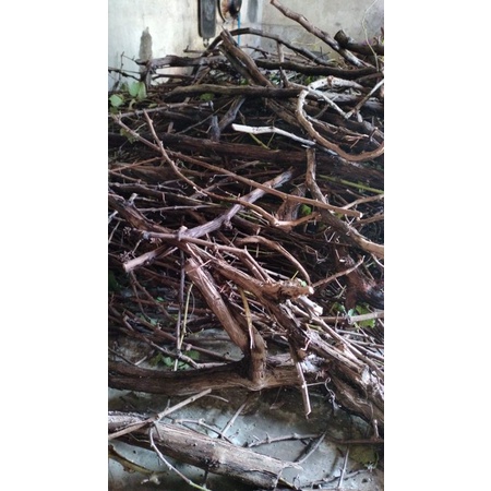 cutting anggur red master paket 1kg