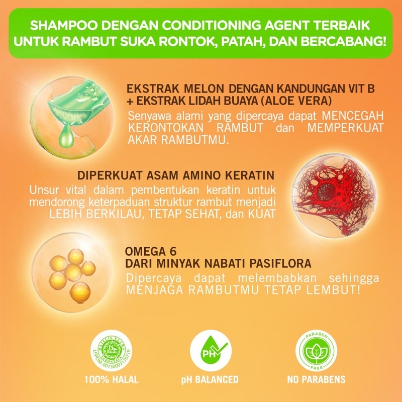 MAKARIZO Hair Energy Fibertherapy Conditioning Shampoo 330ml Indonesia / Aloe &amp; Melon Kiwi Royal Jelly Olive Ginseng Extract / Perawatan Treatment Rambut Shampo Sampo Conditioner Kondisioner Pelurus / Creambath Masker Vitamin / Skincare Care Paket 170ml