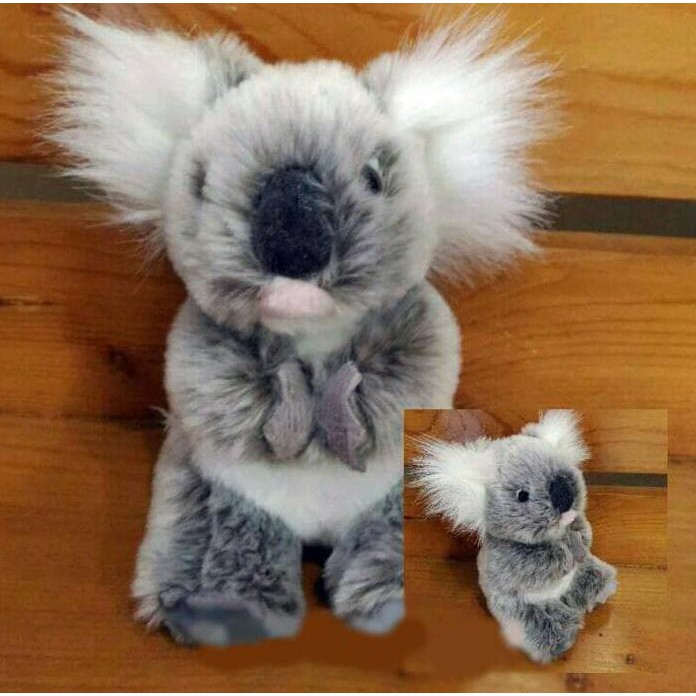 KOALA IMPORT BONEKA BM2312 GT45
