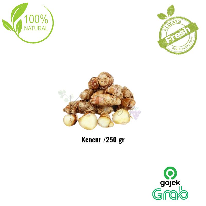 

Sayur Segar - Kencur /250gr