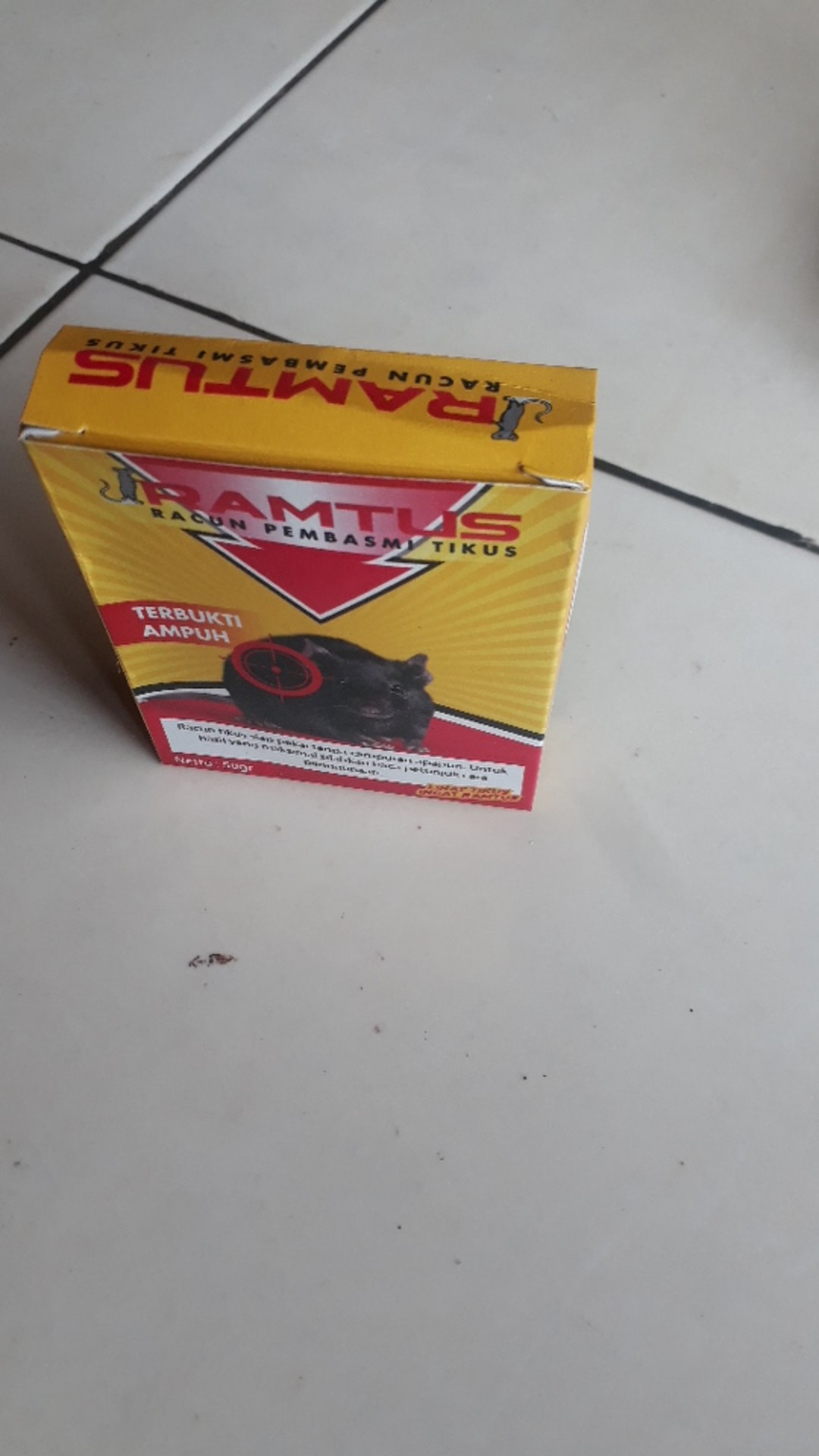 Ramtus Racun Tikus Got Rumahan Mematikan Pembasmi Paling Tuntas Mati Kering