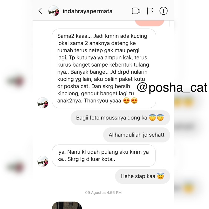 Posha_cat Natural flea &amp; tick shampoo anti kutu kucing 🇰🇷 | shampo kutu kucing | anti fleas cat