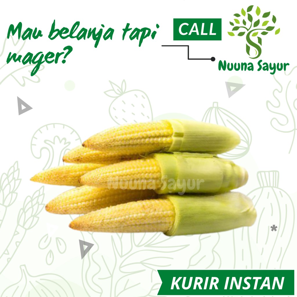 

Jagung Acar / Jagung Muda 250 Gram